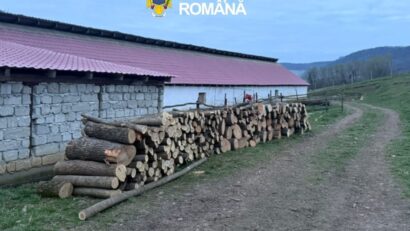 26 de percheziții domiciliare în domeniul silvic pe raza județului Mureș
