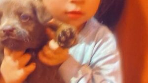 Polișttii mureșeni caută de ieri două minore, de 4 şi 5 ani, din Târnăveni, care au dispărut după amiază.