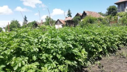 În premieră, tinerii fermieri pot solicita finanțări pentru modernizarea și dezvoltarea exploatațiilor agricole