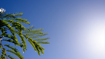 Vremea se menţine frumoasă şi caldă mâine în Transilvania