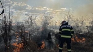180 de incendii de vegetație în Mureș, niciun autor identificat