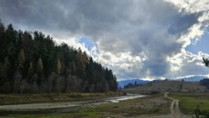 Vreme apropiată de normalul termic al perioadei în Transilvania