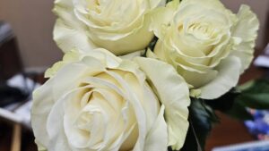 Copilării – Primăvara începe cu mama