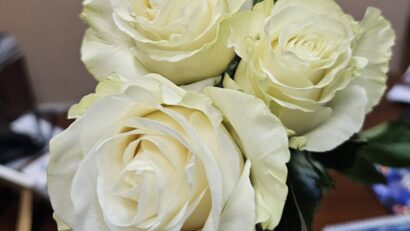 Copilării – Primăvara începe cu mama