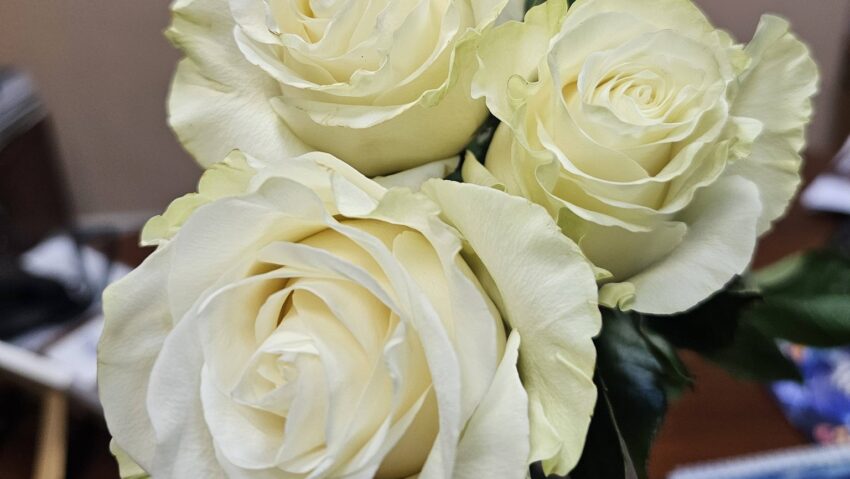 Copilării – Primăvara începe cu mama