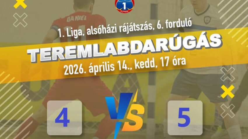 Liga I de futsal, grupa de la retrogradare