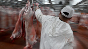 Târg de carne de miel la Sfântu Gheorghe