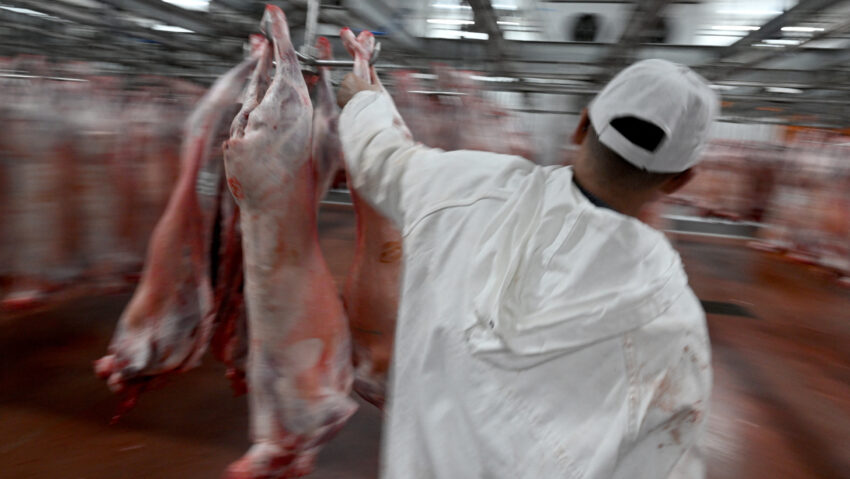 Târg de carne de miel la Sfântu Gheorghe