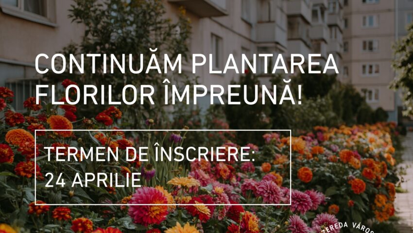 Peste 100 de comunități de locatari s-au înscris în programul de înfrumuseţare urbană derulat de Primăria Miercurea-Ciuc
