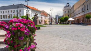 Bugetul municipiului Sfântu Gheorghe, mai mare cu 42 de milioane de lei față de cel din 2025