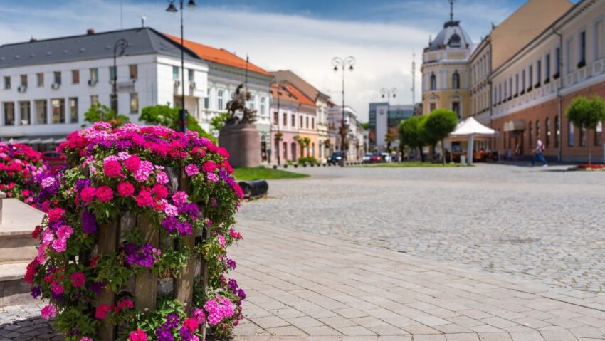 Bugetul municipiului Sfântu Gheorghe, mai mare cu 42 de milioane de lei față de cel din 2025