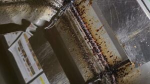 ANPC a aplicat, în ultimele cinci zile, amenzi de peste 6,3 milioane de lei