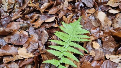 Vremea se va răci din nou