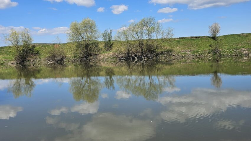 Ziua Pământului, sărbătorită de Radio România Tg. Mureș