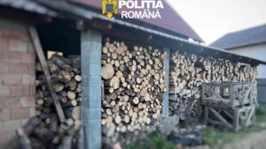 Doi bărbați din Eremitu, reținuți pentru infracțiuni din domeniul silvic