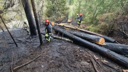 Incendiu de vegetație uscată, în localitatea Borsec