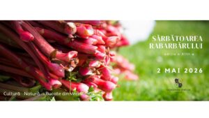 Încasările de la Sărbătoarea Rabarbărului din Saschiz vor finanţa cantina comunitară ‘Bucate din Vecinătate’