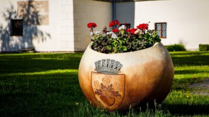 Flori pentru cartierele de blocuri din Miercurea Ciuc