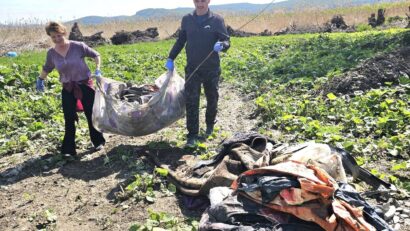 Împreună curățăm, o campanie a Radio România Tg.Mureș. Am colectat 6 tone de deșeuri de pe malul Mureșului.