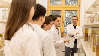 70% dintre medicii rezidenți de sănătate publică iau în calcul plecarea din țară