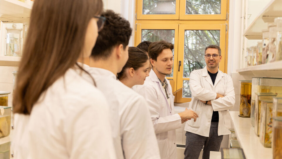 70% dintre medicii rezidenți de sănătate publică iau în calcul plecarea din țară