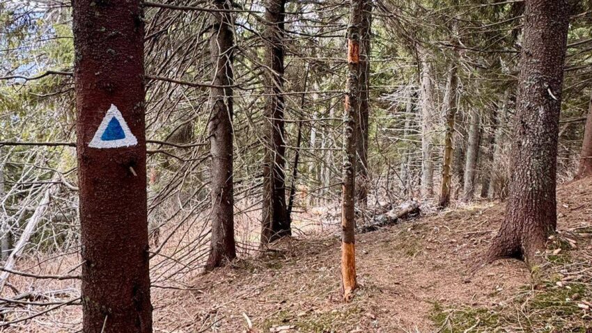 Salvamontiştii harghiteni au început lucrările de întreţinere pe traseele turistice