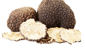 Începe vânătoarea de trufe în Mureș