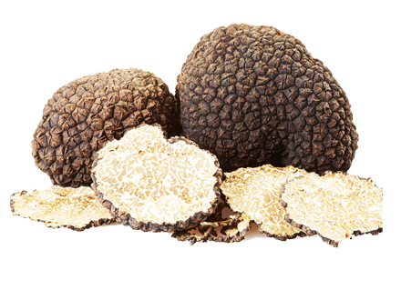 Începe vânătoarea de trufe în Mureș