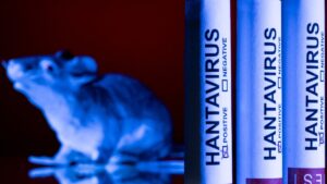 INSP: A fost raportat un caz suspect de hantaviroză, aflat în investigaţie epidemiologică