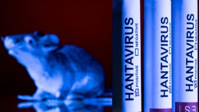 INSP: A fost raportat un caz suspect de hantaviroză, aflat în investigaţie epidemiologică