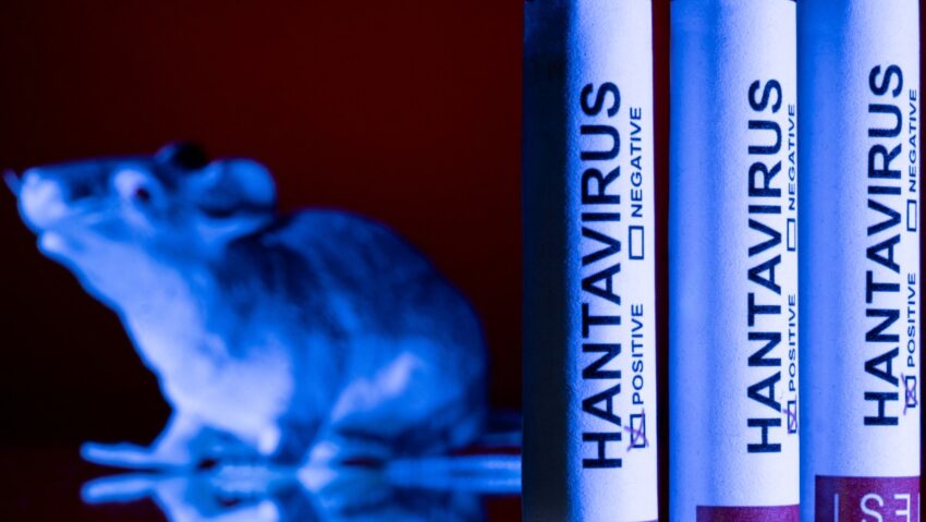 INSP: Rezultat negativ pentru hantavirus în cazul pacientului din Caraş-Severin