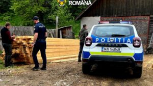 Dosar penal la o firmă de exploatarea lemnului din Brașov