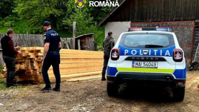 Dosar penal la o firmă de exploatarea lemnului din Brașov