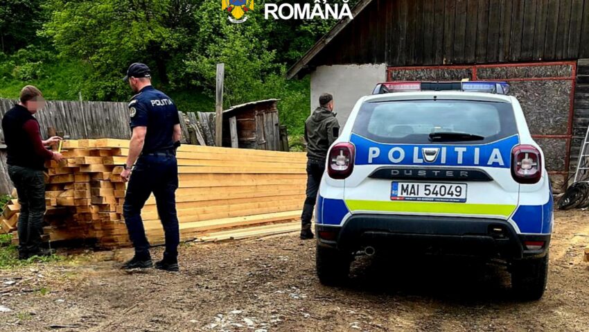 Dosar penal la o firmă de exploatarea lemnului din Brașov