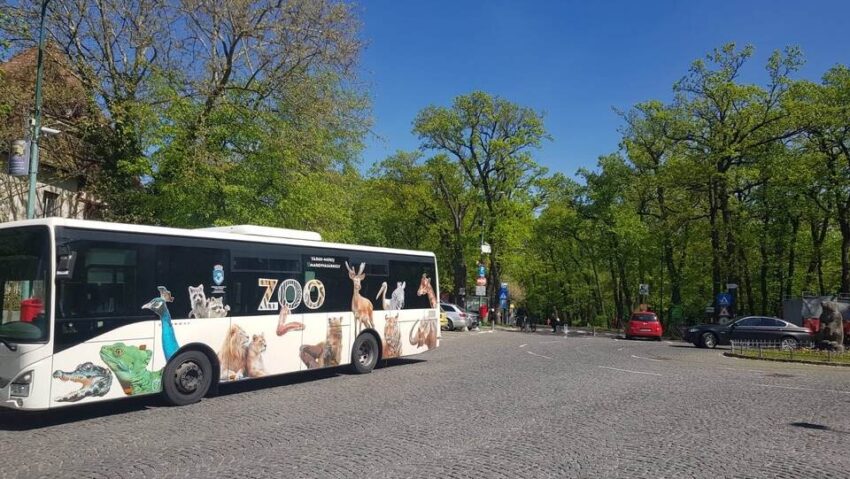 Program special de transport pentru Noaptea Muzeelor la Zoo Târgu Mureș