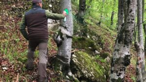 Primăria Râşnov extinde reţeaua de garduri electrice de protecţie împotriva urşilor