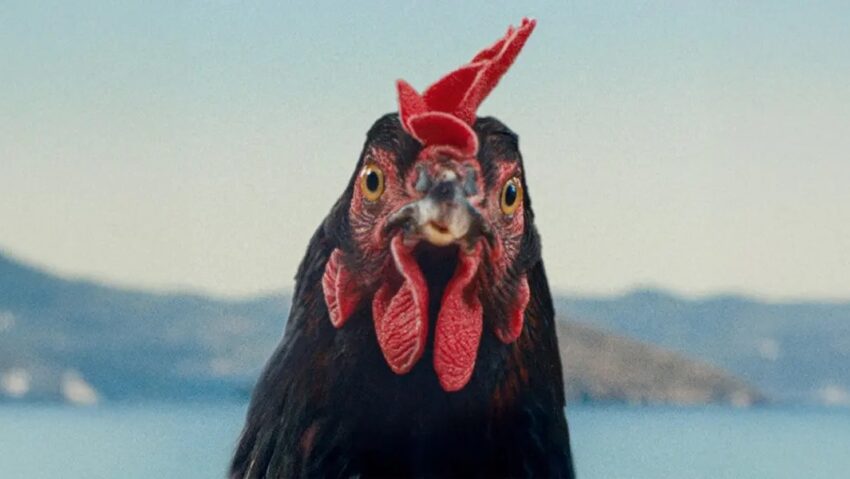 De la László Nemes la noile voci din filmul maghiar: programul Zilei Maghiare la TIFF.25