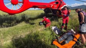 Un bărbat în vârstă de 53 de ani a fost atacat de un urs pe DJ104A, între localitățile brașovene Mărgineni și Bucium
