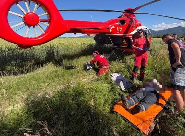 Un bărbat în vârstă de 53 de ani a fost atacat de un urs pe DJ104A, între localitățile brașovene Mărgineni și Bucium