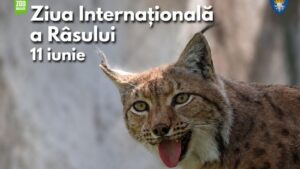 Ziua Internaţională a Râsului va fi marcată la Grădina Zoologică Braşov