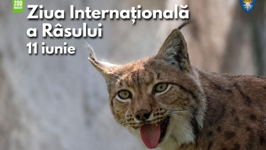 Ziua Internaţională a Râsului va fi marcată la Grădina Zoologică Braşov