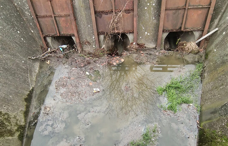 Focare de infecție la Odorheiu Secuiesc!