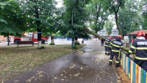 Intervenții ale pompierilor mureșeni