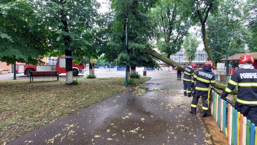 Intervenții ale pompierilor mureșeni