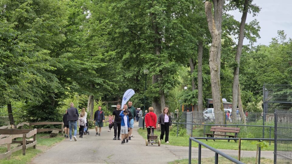 De 1 iunie copii intră gratuit la Zoo Târgu Mureș