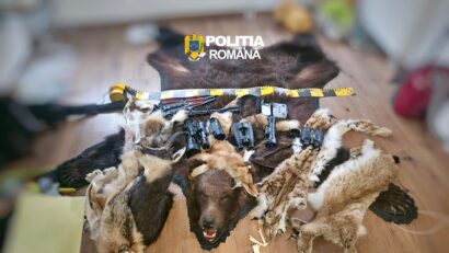 Percheziții în comuna mureșeană Lunca Bradului într-un dosar de braconaj și nerespectarea regimului armelor și al munițiilor