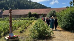 Zilele Plantelor Medicinale din Ţinutul Secuiesc, în weekend, la Şumuleu Ciuc