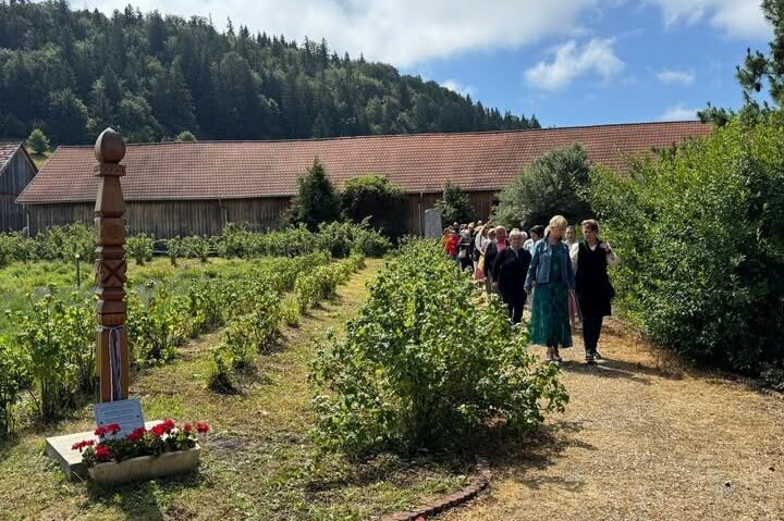 Zilele Plantelor Medicinale din Ţinutul Secuiesc, în weekend, la Şumuleu Ciuc
