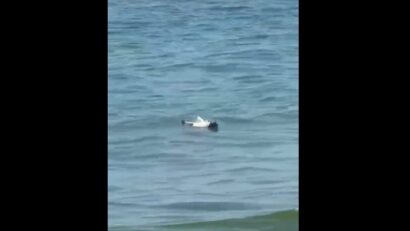 Rămăşiţele unei drone, fără elemente pirotehnice, găsite în apa mării pe o plajă la Mamaia