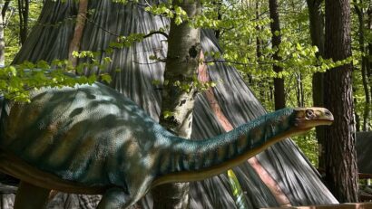 Dino Parc Râșnov aniversează 11 ani de activitate cu un record de 4,5 milioane de vizitatori